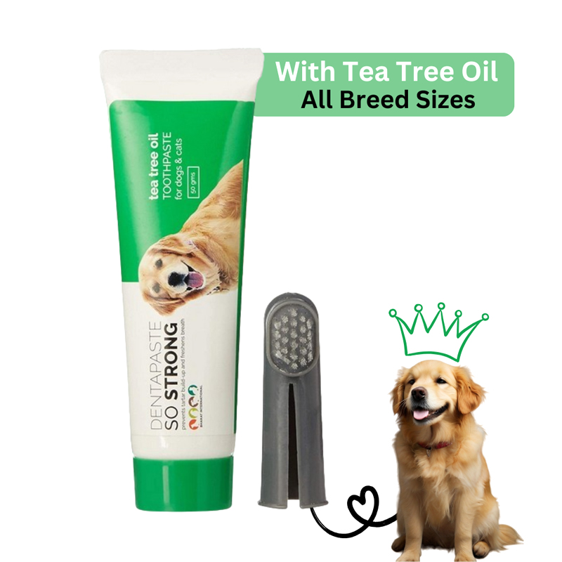 Tea Tree Oil So Strong Dentapaste