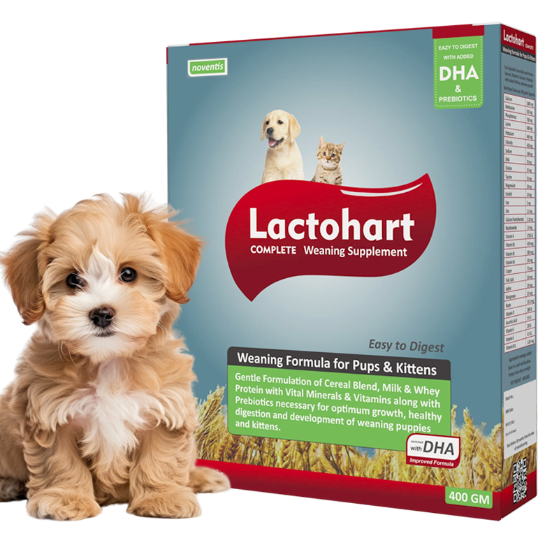 Lactohart Complete Puppy Weaning Supplement Lactohart Weaning Supplement Powder for Puppy Growth