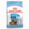 Royal Canin Maxi Starter Dry Food in Jalandhar & Chandigarh