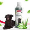 Beaphar Black Coat Dog Shampoo with Aloe Vera