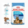 Royal Canin Maxi Starter Dry Food in Jalandhar & Chandigarh