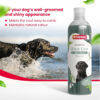 Beaphar Black Coat Dog Shampoo with Aloe Vera