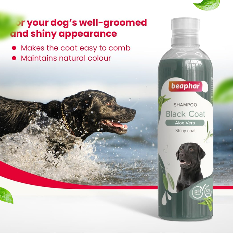 Beaphar Black Coat Dog Shampoo with Aloe Vera