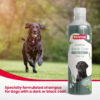 Beaphar Black Coat Dog Shampoo with Aloe Vera