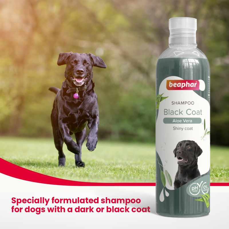 Beaphar Black Coat Dog Shampoo with Aloe Vera Beaphar Black Coat Dog Shampoo with Aloe Vera
