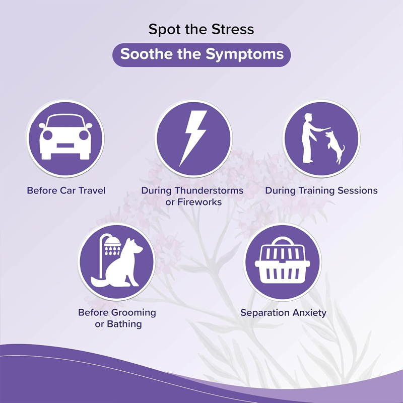 04 Beaphar Calming Home Spray