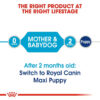 Royal Canin Maxi Starter Dry Food in Jalandhar & Chandigarh