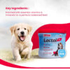 Beaphar Lactol Newborn Puppy Dog Milk Food with DHA, Vitamins & Minerals, Puppy Milk Replacer