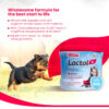 Beaphar Lactol Puppy Milk Replacer