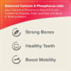 Benifits of Beaphar Bone Builder Powder