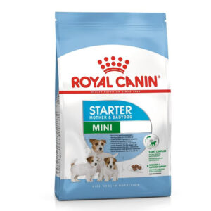 Royal Canin Mini Starter Mother and Babydog Dry Food